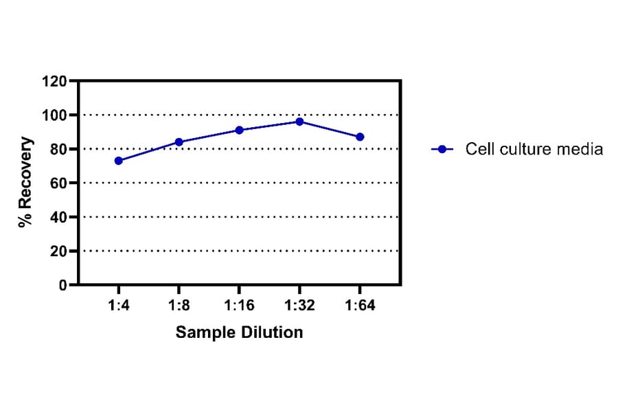 ELISA - Rat IFN gamma ELISA Kit (A334825)- Antibodies.com