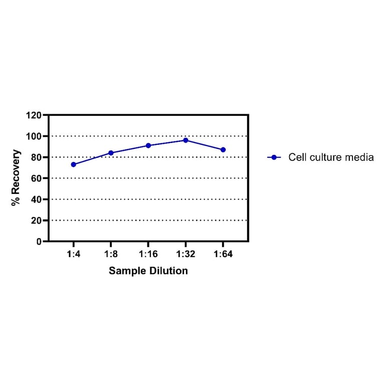 ELISA - Rat IFN gamma ELISA Kit (A334825)- Antibodies.com