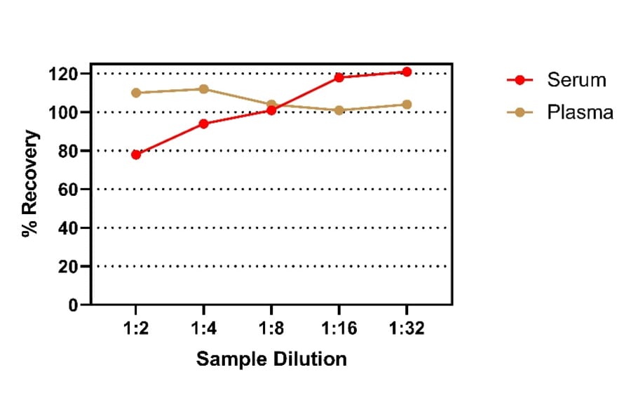 ELISA - Rat IFN gamma ELISA Kit (A334825)- Antibodies.com