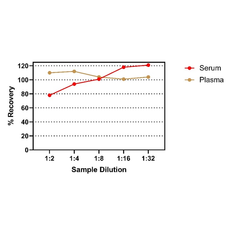 ELISA - Rat IFN gamma ELISA Kit (A334825)- Antibodies.com