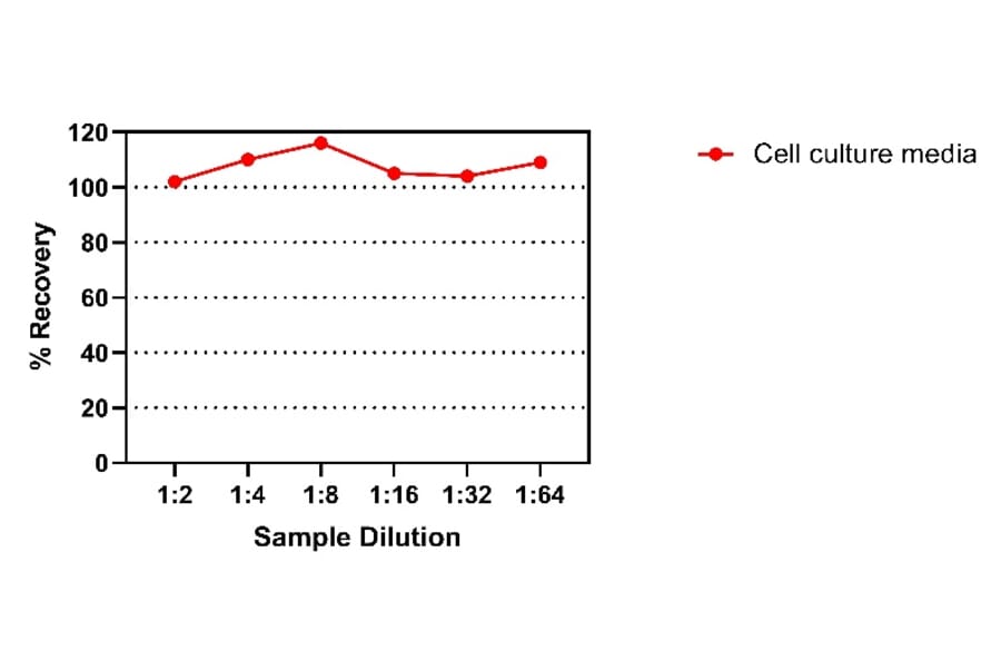 ELISA - Rat IGF1 ELISA Kit (A334826)- Antibodies.com
