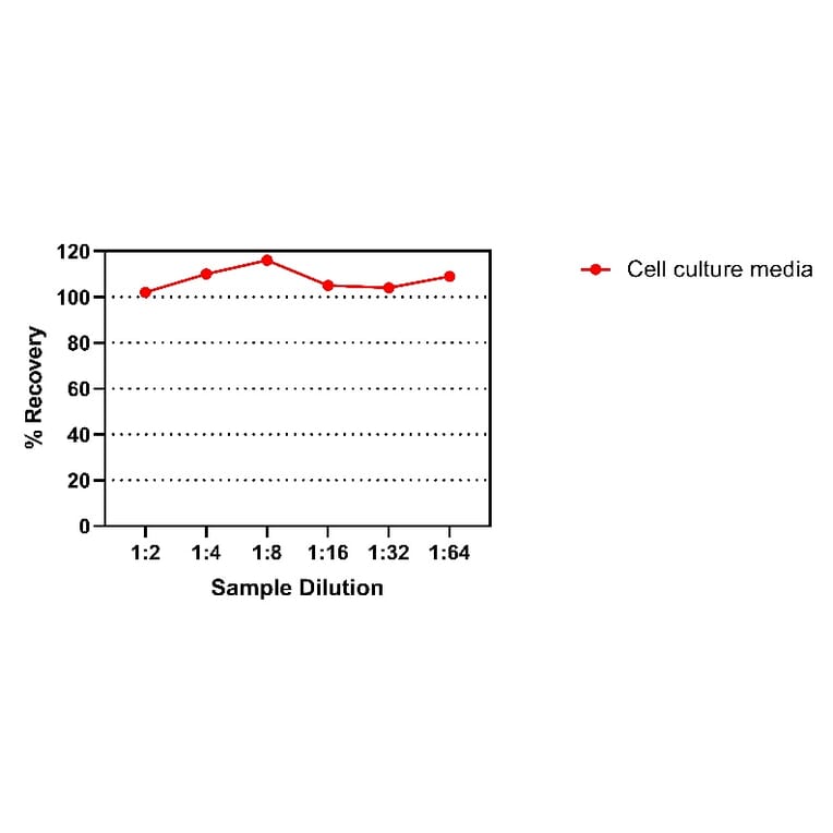 ELISA - Rat IGF1 ELISA Kit (A334826)- Antibodies.com