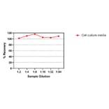 ELISA - Rat IGF1 ELISA Kit (A334826)- Antibodies.com