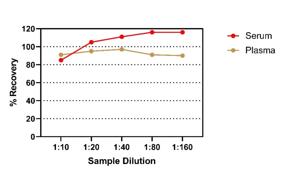 ELISA - Rat IGF1 ELISA Kit (A334826)- Antibodies.com