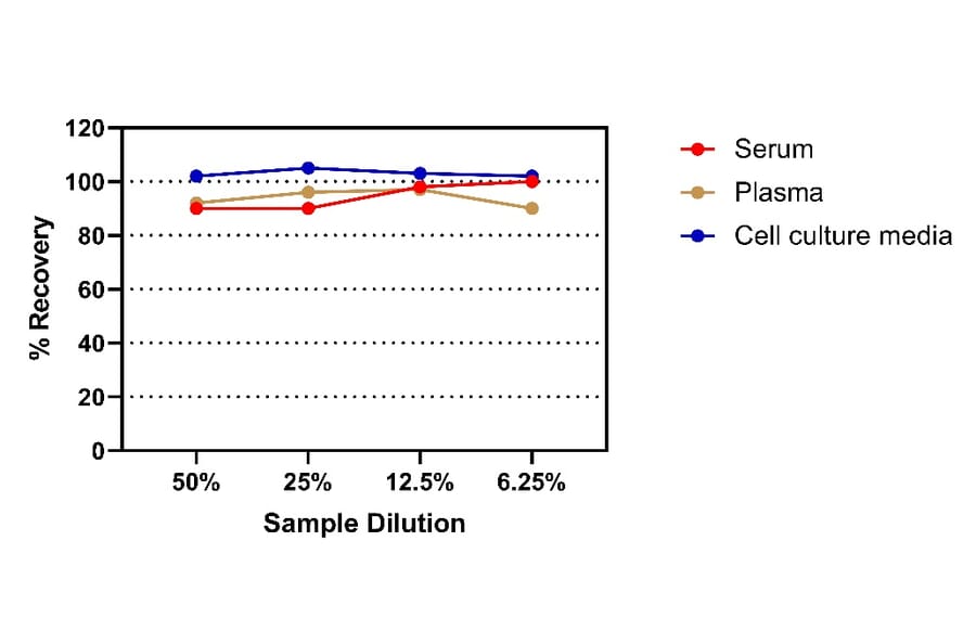 ELISA - Human IL-11 ELISA Kit (A334827)- Antibodies.com