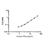 ELISA - Human IFN gamma ELISA Kit (A334828)- Antibodies.com