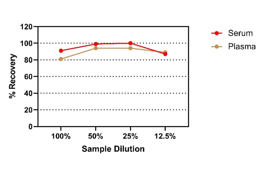 ELISA - Human IFN gamma ELISA Kit (A334828)- Antibodies.com