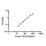 ELISA - Cross-Species TGF beta ELISA Kit (A334829)- Antibodies.com