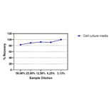 ELISA - HIV1 p24 ELISA Kit (A334834) - Antibodies.com