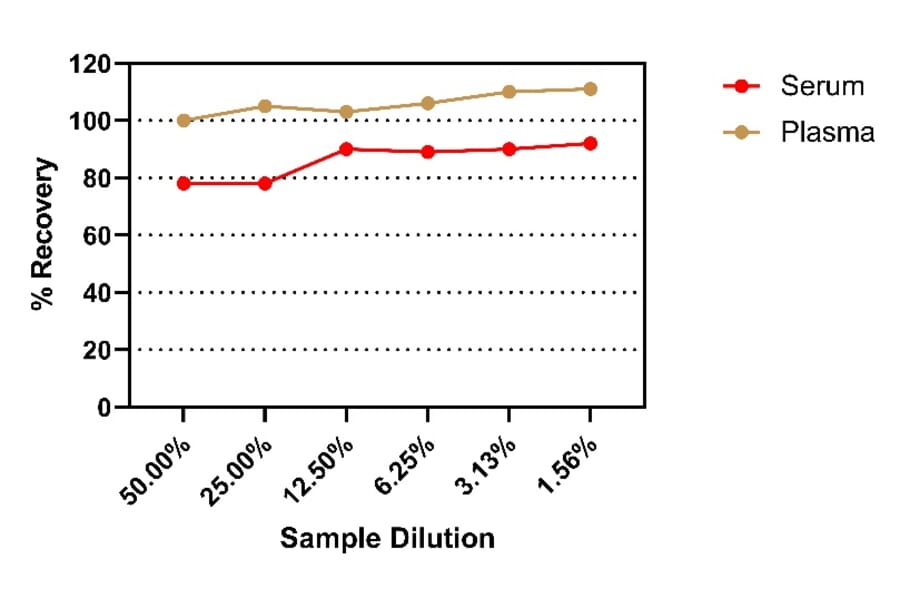 ELISA - HIV1 p24 ELISA Kit (A334836) - Antibodies.com