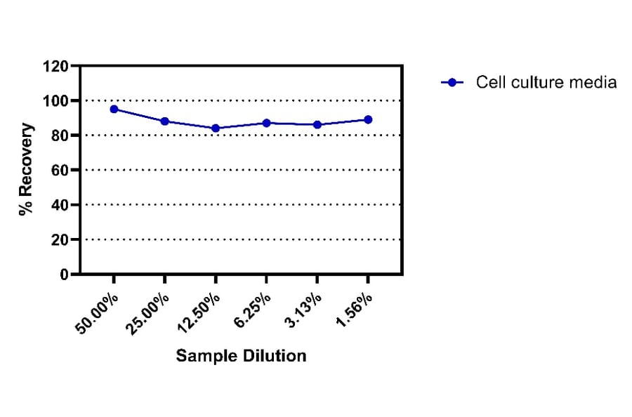 ELISA - Human IFN beta ELISA Kit (A334841)- Antibodies.com