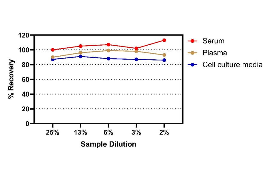 ELISA - Human CCL17 ELISA Kit (A334845)- Antibodies.com
