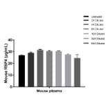 ELISA - Mouse RBP4 ELISA Kit (A334848)- Antibodies.com