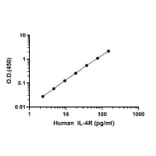 ELISA - Human IL-4R ELISA Kit (A334853)- Antibodies.com