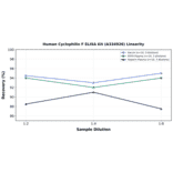 Linearity - Human Cyclophilin F ELISA Kit (A334926) - Antibodies.com