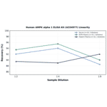 Linearity - Human AMPK alpha 1 ELISA Kit (A334977) - Antibodies.com