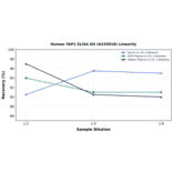 Linearity - Human YAP1 ELISA Kit (A335018) - Antibodies.com