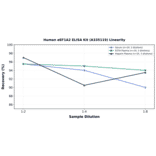 Linearity - Human eEF1A2 ELISA Kit (A335119) - Antibodies.com