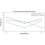 Linearity - Mouse ENO1 ELISA Kit (A335196) - Antibodies.com