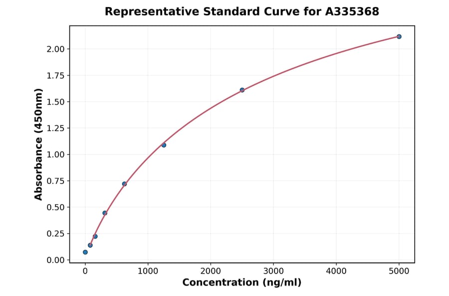 Standard Curve - Rat SIRT6 ELISA Kit (A335368) - Antibodies.com