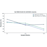 Linearity - Rat PADI4 ELISA Kit (A335383) - Antibodies.com