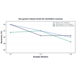 Linearity - Rat gamma Tubulin ELISA Kit (A335403) - Antibodies.com