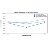 Linearity - Human MMP2 ELISA Kit (A335486) - Antibodies.com