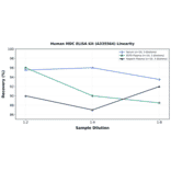 Linearity - Human MDC ELISA Kit (A335564) - Antibodies.com