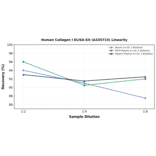 Linearity - Human Collagen I ELISA Kit (A335715) - Antibodies.com