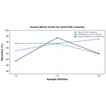 Linearity - Human BRCA1 ELISA Kit (A335758) - Antibodies.com