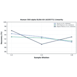 Linearity - Human CKII alpha ELISA Kit (A335771) - Antibodies.com