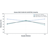 Linearity - Human RAC2 ELISA Kit (A335784) - Antibodies.com