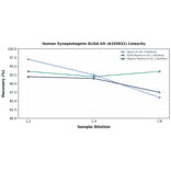 Linearity - Human Synaptotagmin ELISA Kit (A335831) - Antibodies.com