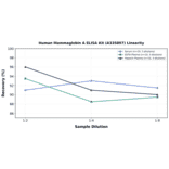 Linearity - Human Mammaglobin A ELISA Kit (A335897) - Antibodies.com