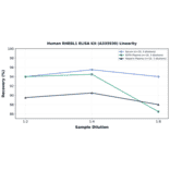 Linearity - Human RHEBL1 ELISA Kit (A335930) - Antibodies.com