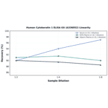 Linearity - Human Cytokeratin 1 ELISA Kit (A336052) - Antibodies.com