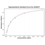 Standard Curve - Human Wnt10b ELISA Kit (A336077) - Antibodies.com