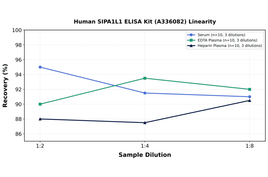 Linearity - Human SIPA1L1 ELISA Kit (A336082) - Antibodies.com