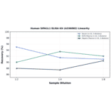 Linearity - Human SIPA1L1 ELISA Kit (A336082) - Antibodies.com