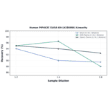 Linearity - Human PIP4K2C ELISA Kit (A336084) - Antibodies.com