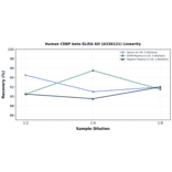 Linearity - Human CEBP beta ELISA Kit (A336121) - Antibodies.com