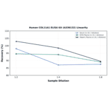 Linearity - Human COL11A1 ELISA Kit (A336132) - Antibodies.com