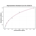 Standard Curve - Human LOXL4 ELISA Kit (A336172) - Antibodies.com