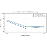 Linearity - Human CXCL12 ELISA Kit (A336207) - Antibodies.com