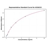 Standard Curve - Human UCOC ELISA Kit (A336222) - Antibodies.com