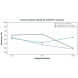 Linearity - Human Caspase-3 ELISA Kit (A336291) - Antibodies.com