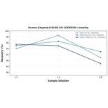 Linearity - Human Caspase-6 ELISA Kit (A336329) - Antibodies.com