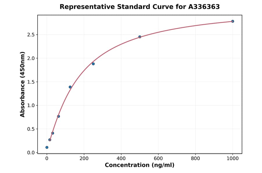 Standard Curve - Human GBE1 ELISA Kit (A336363) - Antibodies.com
