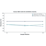 Linearity - Human GBE1 ELISA Kit (A336363) - Antibodies.com