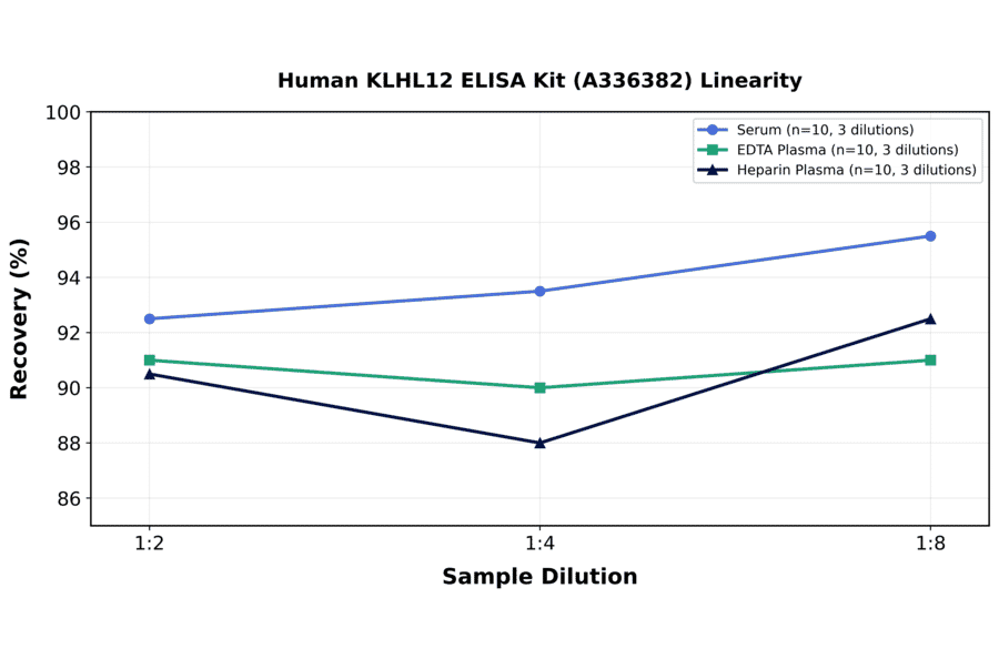 Linearity - Human KLHL12 ELISA Kit (A336382) - Antibodies.com